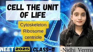 CELL THE UNIT OF LIFE  RIBOSOMES  CENTRIOLE  CENTROSOME  NEET 202526  NIDHI VERMA [upl. by Valaria]