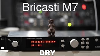 Bricasti M7 Reverb！ Female vocals test1 [upl. by Ocirnor]