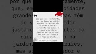 FRASE DO LIVRO CRIME E CASTIGO [upl. by Aener]