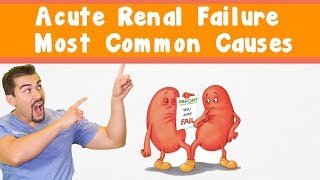 Acute Renal Failure Most common causes [upl. by Farr]