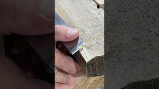 Wood Chisel Sound satisfying chisel woodworking shorts [upl. by Niwrad]