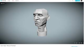 Asaro head planes of the head FREE MODEL  RANT [upl. by Enidlareg]