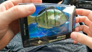 FIELD REVIEW Bass Lures Jointed Sunfish [upl. by Aeslehs]