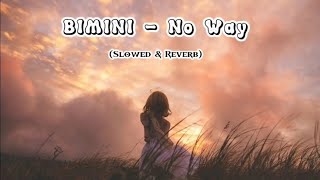 BIMINI  No Way  Lyrics And  SlowedReverb [upl. by Alimhaj]