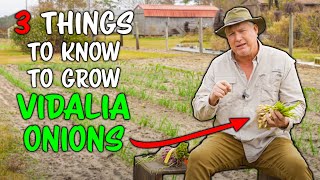 How to Grow Sweet Vidalia Onions [upl. by Eerol747]