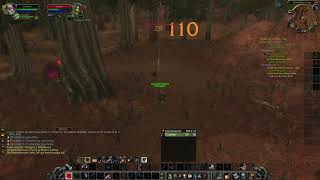 Kill Command Hunter Rune  Season of Discovery SoD [upl. by Accemahs]