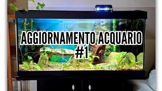 Aggiornamento acquario 1 [upl. by Idnem]