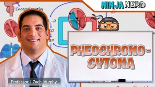 Pheochromocytoma  Clinical Medicine [upl. by Hamlet]