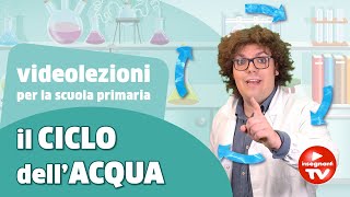 Video lezione il ciclo dellacqua  Renato lo scienziato Renatoloscienziato [upl. by Nirre903]