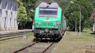 Croisement du Cévenol et du train de bois à Villefort le 23 juillet 2024 [upl. by Readus]