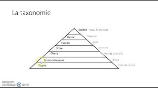 Thème 26 Taxonomie [upl. by Loma]