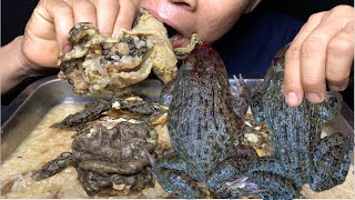 MUKBANG  Eating frog 🐸  Frog porridge mukbang eating Mr Vath eatingasmr mukbang [upl. by Adnowat]