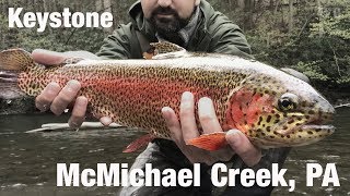 Fly Fishing Keystone Select McMichael Creek PA  Wooly Bugged [upl. by Alesandrini]