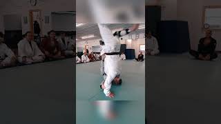 Rate This Takedown judothrows judotraining takedowns grappling [upl. by Sidon900]