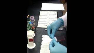 How to make a Cytology Smear [upl. by Emmalee]