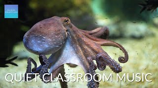 Quiet Classroom Music for Children 🐙 Octopus Relaxing music for kids to study calm classroom music [upl. by Rollecnahc422]