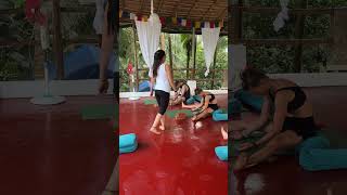 Yin Yoga in TTC goayogashala goa [upl. by Philander]