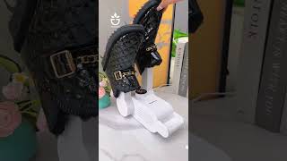 High temperature shoe dryer  link in bio🥇kitchenhack kitchentips [upl. by Alyos]