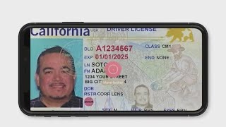 California closer to digital drivers licenses [upl. by Rosamund]