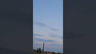 The moon the Saguaros and the chirping birds Another wonderful day [upl. by Sarette]