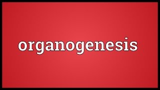 Organogenesis Meaning [upl. by Reg]