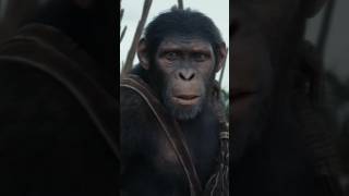 Movie  Kingdom Of The Planet Of The Apes movies apes [upl. by Dedie]