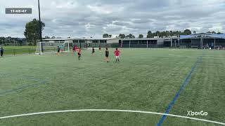 Lynbrook Falcons VS One United U15 [upl. by Vinni]