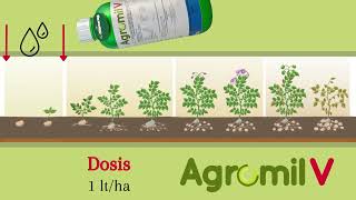 Agromil V en el cultivo de papa [upl. by Anaira]