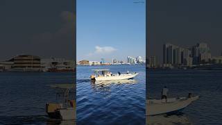 WATERFRONT AT AJMAN FISH MARKET uaefishmarketwatershortvideoytshortstrendingshortsyt [upl. by Xirdnek608]