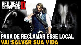 Localização Gambá Listrado  Red dead Redemption 2 [upl. by Yorick]