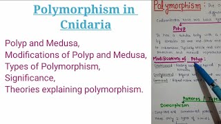 Polymorphism in Cnidaria with theories [upl. by Halfon911]