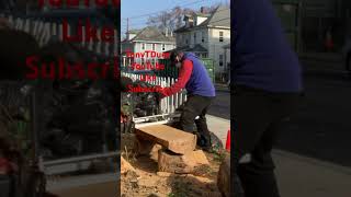 Lumberjack Remix Part I woodworking hardwood lumberjack chainsaw lumberjacks lumber tree [upl. by Helman]