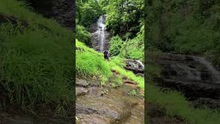 Pallor kotta waterfalls perinthalmanna nature waterfall travel youtubeshorts trendingshorts [upl. by Burnside]