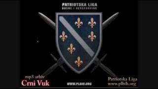 Drinski Talasi  o Rahmetli Senadu Cosicu  Patrioske pjesme Republike Armije BiH [upl. by Glaudia]