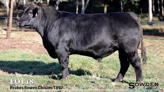 Lot 18 Peakes Bowen Chisum T897 [upl. by Rubinstein]