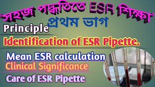 ESR test কি কেন ESR Test কেন করা হয়  ESR test normal range ESR Blood Test In Bengali ESR Test [upl. by Arhna]