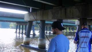 A TOUGH HOT DAY ON THE NANTICOKE RIVERavi [upl. by Ominorej]