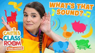 Whats That Sound  Caities Classroom SingAlong Show  Fun Listening Songs For Kids [upl. by Teufert955]