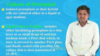 Protoplast Isolation amp Culture [upl. by Bish490]