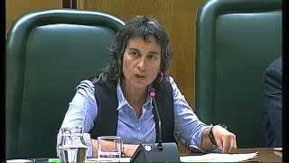 Intervención de Luisa Broto en Pleno Zaragoza 30 octubre [upl. by Marmawke86]