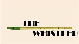 In the Summertime  Mungo Jerry Tin Whistle Cover [upl. by Ingram]