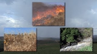 MediterraneanClimate Ecosystems Drought Fire and Flood [upl. by Dnalyag228]