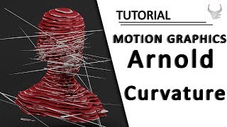 Motion Graphic  Arnold Curvature Map  Cinema 4D Tutorial [upl. by Justinn]