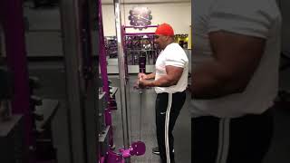 Cable Curls at Planet Fitness [upl. by Goldina233]