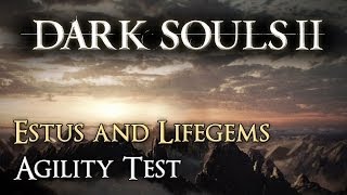 Estus and Lifegems  Dark Souls 2 Agility Test [upl. by Ultun885]