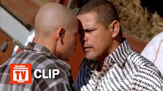 Breaking Bad  Dealing With Tuco Scene S1E7  Rotten Tomatoes TV [upl. by Jenine342]