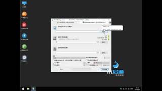 第二期：在WinPE使用WinntSetup在UEFIGPT环境安装官方Win10 [upl. by Norud]