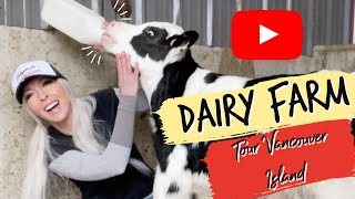 Dairy farm tour  Vancouver Island Milk  Glenview farm [upl. by Sivar840]