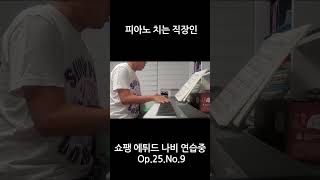 쇼팽 에튀드 나비Op25No9 shorts 피아노치는직장인 쇼팽에튀드나비 [upl. by Derek782]