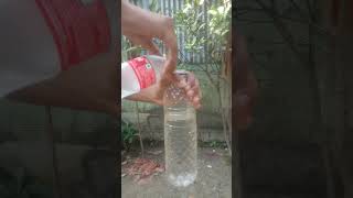 🤯Make a bottle rocket at home 🚀 [upl. by Adaiha942]